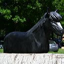 img_6487