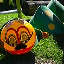 img_6491