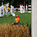 img_6494
