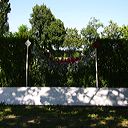img_6497
