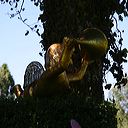 img_6500