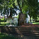 img_6509