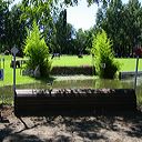 img_6530