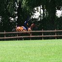 img_6558