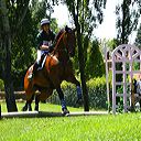 img_6561