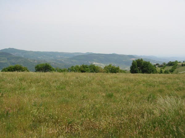 colli_veneti_(13)