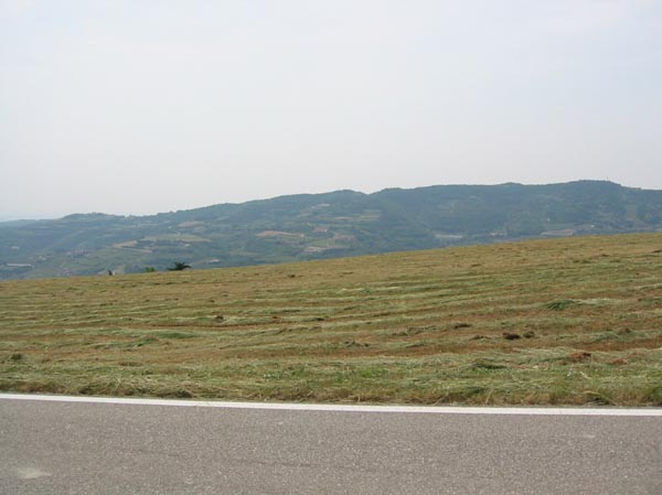 colli_veneti_(14)