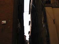 IMG_0477