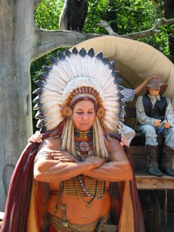 ary_apache.jpg
