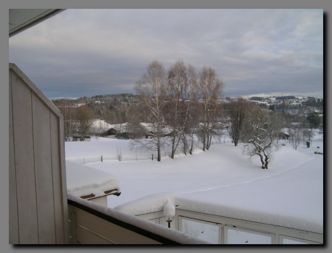 DSCN0274