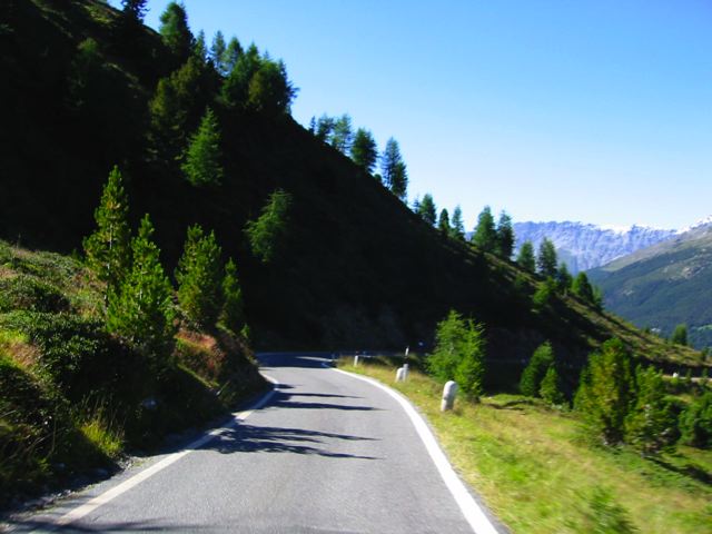 47_gavia.jpg