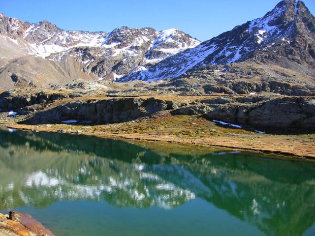 gavia_ott_2001.jpg
