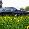 audi02