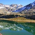 gavia_ott_2001