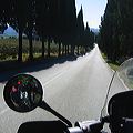 img_1590