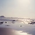 sfondo_portogallo
