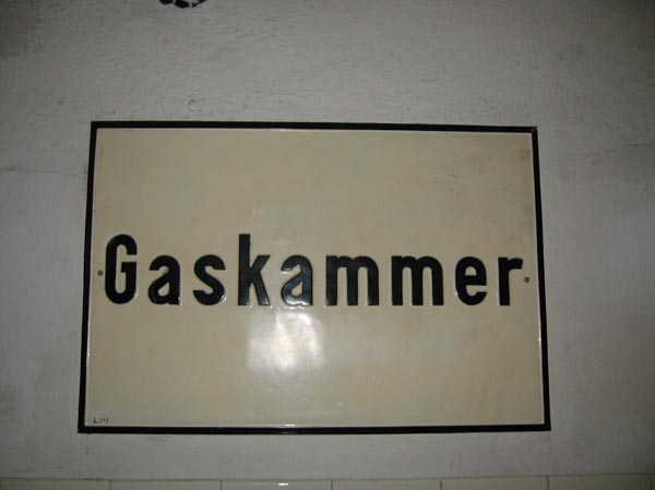 IMG_1156