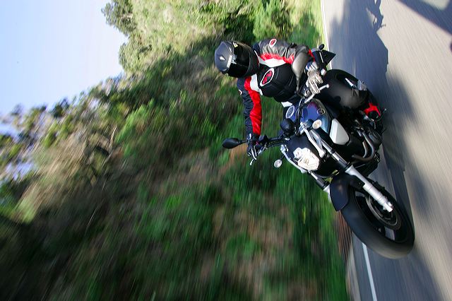 _v8z8506.jpg