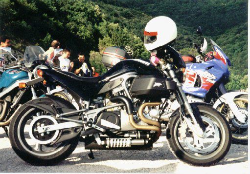 prima_buell.jpg