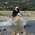 img_0510