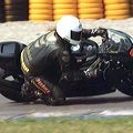 2002_varano_zanza