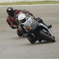 2002_zanza_quercia
