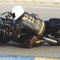 varano_2002_zanza