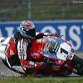11_bayliss(1)