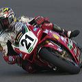 bayliss