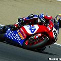 hogson_laguna_2003